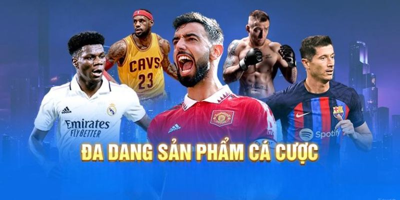 im-sports-vipwin-da-dang-san-pham-ca-cuoc